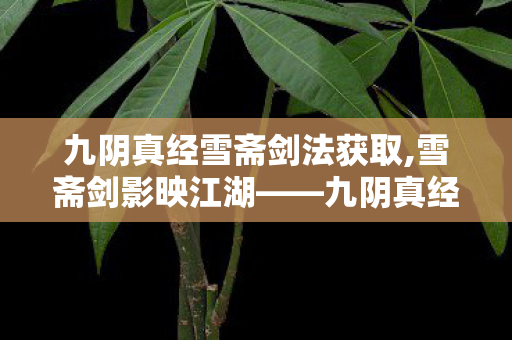 九阴真经雪斋剑法获取,雪斋剑影映江湖——九阴真经中的雪斋剑法 九阴真经雪斋剑法获取,雪斋剑影映江湖——九阴真经中的雪斋剑法