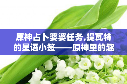 原神占卜婆婆任务,提瓦特的星语小签——原神里的趣味占卜日常 原神占卜婆婆任务,提瓦特的星语小签——原神里的趣味占卜日常