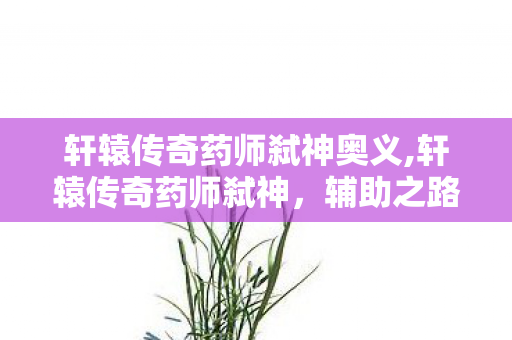 轩辕传奇药师弑神奥义,轩辕传奇药师弑神,辅助之路上的亲密伙伴 轩辕传奇药师弑神奥义,轩辕传奇药师弑神,辅助之路上的亲密伙伴