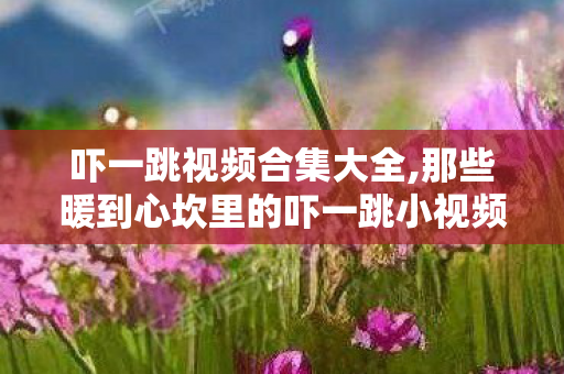 吓一跳视频合集大全,那些暖到心坎里的吓一跳小视频 吓一跳视频合集大全,那些暖到心坎里的吓一跳小视频