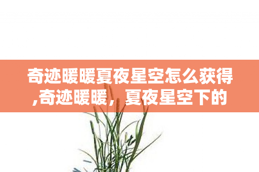 奇迹暖暖夏夜星空怎么获得,奇迹暖暖，夏夜星空下的心动时刻