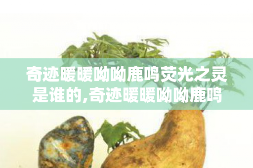 奇迹暖暖呦呦鹿鸣荧光之灵是谁的,奇迹暖暖呦呦鹿鸣，自然意趣里的少女穿搭梦