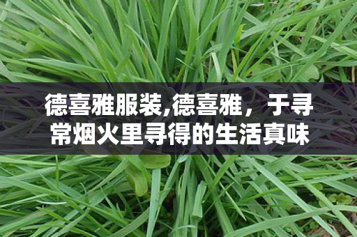 德喜雅服装,德喜雅，于寻常烟火里寻得的生活真味