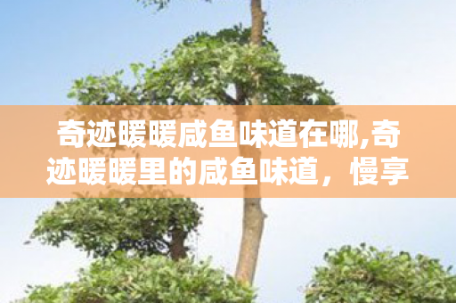 奇迹暖暖咸鱼味道在哪,奇迹暖暖里的咸鱼味道,慢享日常的松弛感 奇迹暖暖咸鱼味道在哪,奇迹暖暖里的咸鱼味道,慢享日常的松弛感