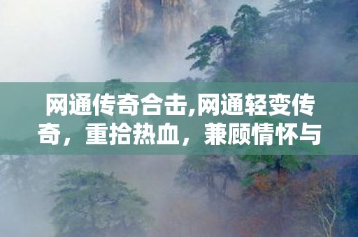 网通传奇合击,网通轻变传奇,重拾热血,兼顾情怀与便捷的经典续篇 网通传奇合击,网通轻变传奇,重拾热血,兼顾情怀与便捷的经典续篇