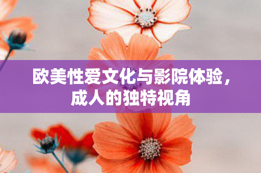 欧美性爱文化与影院体验，成人的独特视角