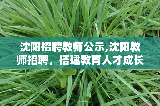 沈阳招聘教师公示,沈阳教师招聘,搭建教育人才成长的广阔舞台 沈阳招聘教师公示,沈阳教师招聘,搭建教育人才成长的广阔舞台