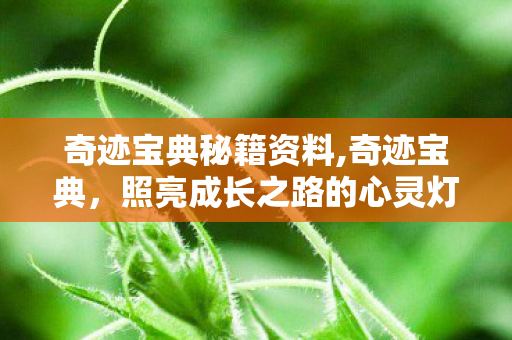 奇迹宝典秘籍资料,奇迹宝典，照亮成长之路的心灵灯塔
