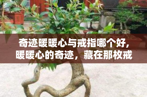 奇迹暖暖心与戒指哪个好,暖暖心的奇迹，藏在那枚戒指里