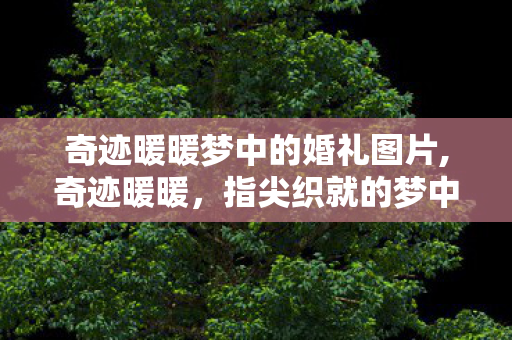 奇迹暖暖梦中的婚礼图片,奇迹暖暖,指尖织就的梦中婚礼,藏着少女的浪漫期许 奇迹暖暖梦中的婚礼图片,奇迹暖暖,指尖织就的梦中婚礼,藏着少女的浪漫期许