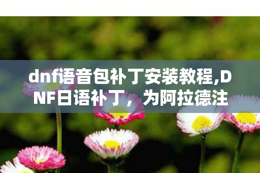 dnf语音包补丁安装教程,DNF日语补丁,为阿拉德注入和风韵味 dnf语音包补丁安装教程,DNF日语补丁,为阿拉德注入和风韵味