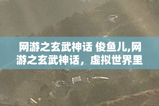 网游之玄武神话 俊鱼儿,网游之玄武神话,虚拟世界里的守护与热血传奇 网游之玄武神话 俊鱼儿,网游之玄武神话,虚拟世界里的守护与热血传奇