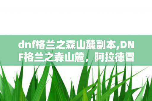 dnf格兰之森山麓副本,DNF格兰之森山麓,阿拉德冒险的初心起点 dnf格兰之森山麓副本,DNF格兰之森山麓,阿拉德冒险的初心起点