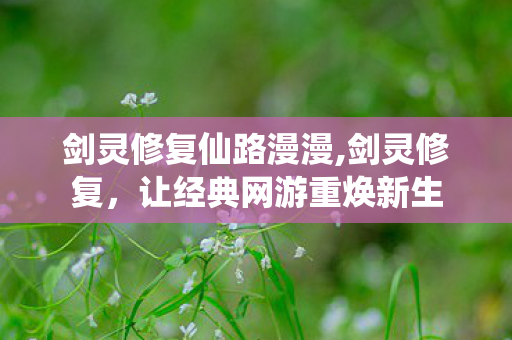 剑灵修复仙路漫漫,剑灵修复，让经典网游重焕新生