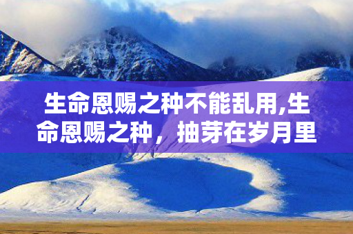 生命恩赐之种不能乱用,生命恩赐之种,抽芽在岁月里的温柔馈赠 生命恩赐之种不能乱用,生命恩赐之种,抽芽在岁月里的温柔馈赠