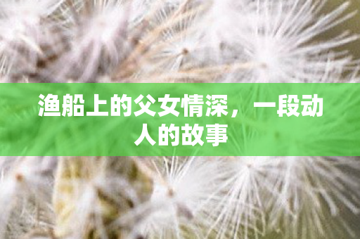 渔船上的父女情深,一段动人的故事 渔船上的父女情深,一段动人的故事