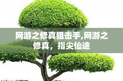 网游之修真狙击手,网游之修真,指尖仙途 网游之修真狙击手,网游之修真,指尖仙途