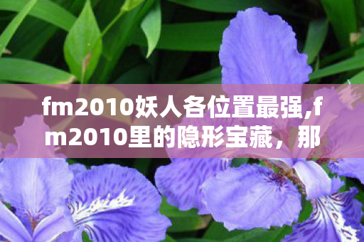 fm2010妖人各位置最强,fm2010里的隐形宝藏,那些让玩家疯狂的妖人 fm2010妖人各位置最强,fm2010里的隐形宝藏,那些让玩家疯狂的妖人