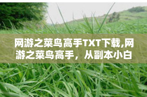 网游之菜鸟高手TXT下载,网游之菜鸟高手,从副本小白到团战核心的逆袭路 网游之菜鸟高手TXT下载,网游之菜鸟高手,从副本小白到团战核心的逆袭路