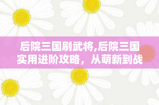 后院三国刷武将,后院三国实用进阶攻略,从萌新到战力飙升的核心技巧 后院三国刷武将,后院三国实用进阶攻略,从萌新到战力飙升的核心技巧