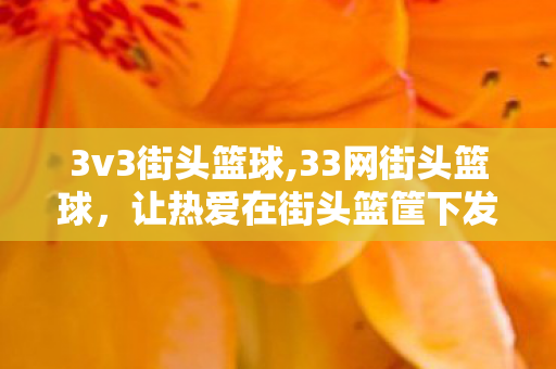 3v3街头篮球,33网街头篮球,让热爱在街头篮筐下发光 3v3街头篮球,33网街头篮球,让热爱在街头篮筐下发光