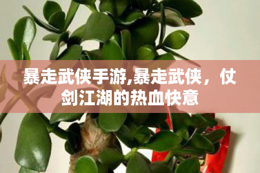 暴走武侠手游,暴走武侠,仗剑江湖的热血快意 暴走武侠手游,暴走武侠,仗剑江湖的热血快意