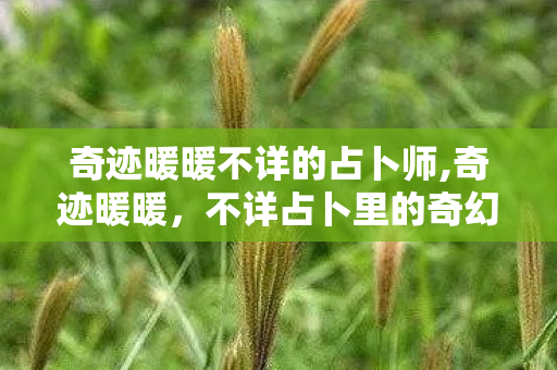 奇迹暖暖不详的占卜师,奇迹暖暖,不详占卜里的奇幻小天地 奇迹暖暖不详的占卜师,奇迹暖暖,不详占卜里的奇幻小天地