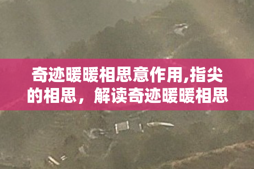 奇迹暖暖相思意作用,指尖的相思,解读奇迹暖暖相思脉脉的温柔意蕴 奇迹暖暖相思意作用,指尖的相思,解读奇迹暖暖相思脉脉的温柔意蕴
