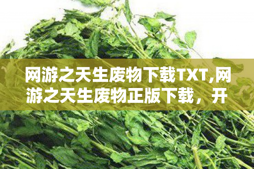 网游之天生废物下载TXT,网游之天生废物正版下载,开启你的网游逆袭之路 网游之天生废物下载TXT,网游之天生废物正版下载,开启你的网游逆袭之路