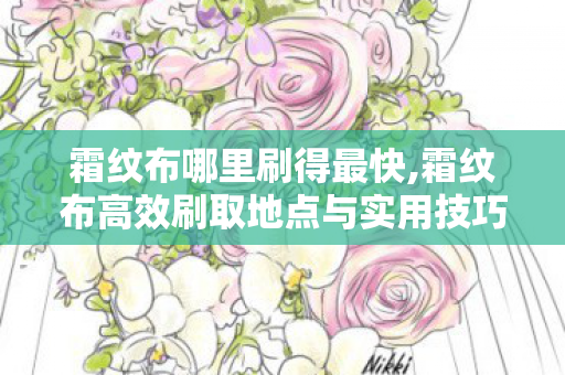 霜纹布哪里刷得最快,霜纹布高效刷取地点与实用技巧 霜纹布哪里刷得最快,霜纹布高效刷取地点与实用技巧