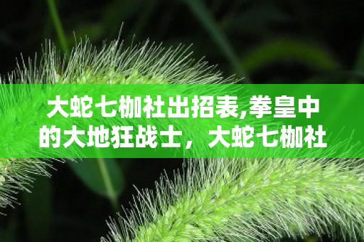 大蛇七枷社出招表,拳皇中的大地狂战士，大蛇七枷社的热血印记