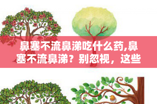 鼻塞不流鼻涕吃什么药,鼻塞不流鼻涕？别忽视，这些实用调理技巧帮你舒缓不适