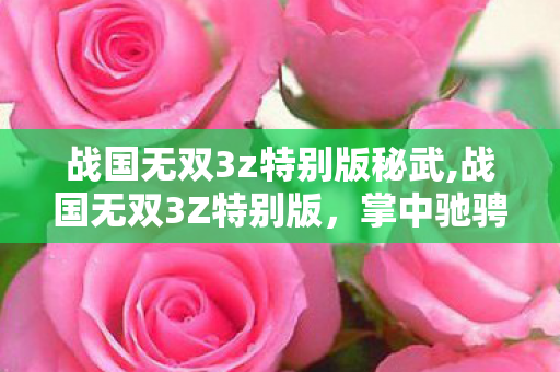 战国无双3z特别版秘武,战国无双3Z特别版,掌中驰骋的战国割草盛宴 战国无双3z特别版秘武,战国无双3Z特别版,掌中驰骋的战国割草盛宴