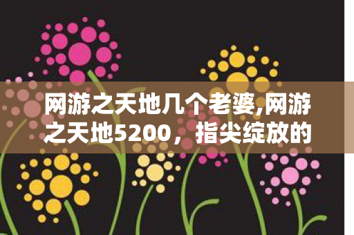 网游之天地几个老婆,网游之天地5200,指尖绽放的奇幻冒险之梦 网游之天地几个老婆,网游之天地5200,指尖绽放的奇幻冒险之梦