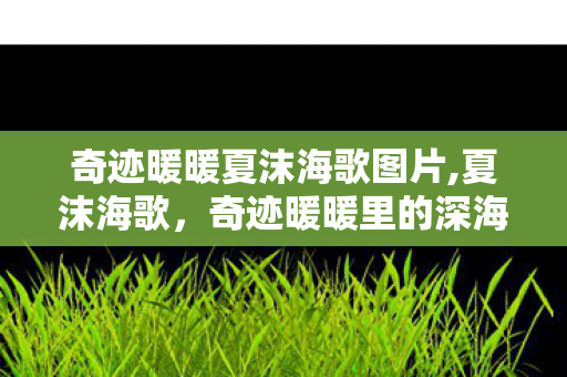 奇迹暖暖夏沫海歌图片,夏沫海歌,奇迹暖暖里的深海浪漫之约 奇迹暖暖夏沫海歌图片,夏沫海歌,奇迹暖暖里的深海浪漫之约