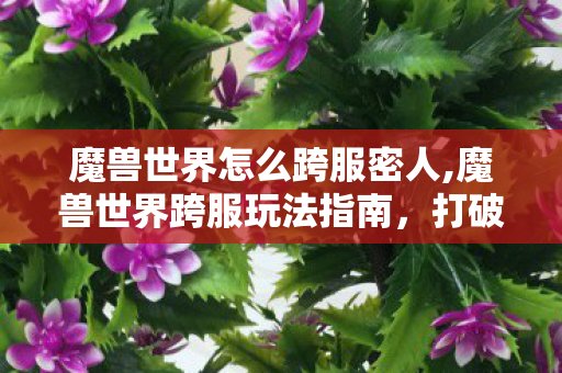 魔兽世界怎么跨服密人,魔兽世界跨服玩法指南,打破服务器边界的游戏体验 魔兽世界怎么跨服密人,魔兽世界跨服玩法指南,打破服务器边界的游戏体验