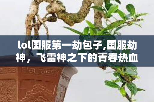 lol国服第一劫包子,国服劫神,飞雷神之下的青春热血 lol国服第一劫包子,国服劫神,飞雷神之下的青春热血
