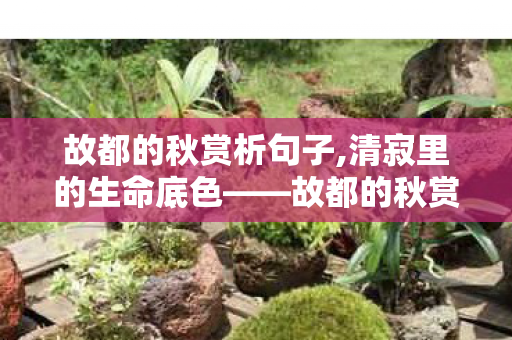 故都的秋赏析句子,清寂里的生命底色——故都的秋赏析 故都的秋赏析句子,清寂里的生命底色——故都的秋赏析