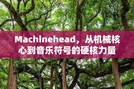 Machinehead,从机械核心到音乐符号的硬核力量 Machinehead,从机械核心到音乐符号的硬核力量