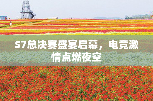 S7总决赛盛宴启幕，电竞激情点燃夜空