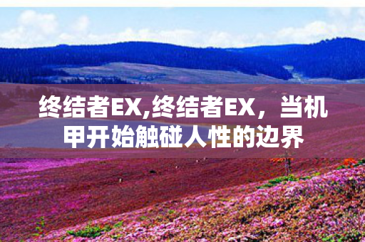 终结者EX,终结者EX,当机甲开始触碰人性的边界 终结者EX,终结者EX,当机甲开始触碰人性的边界