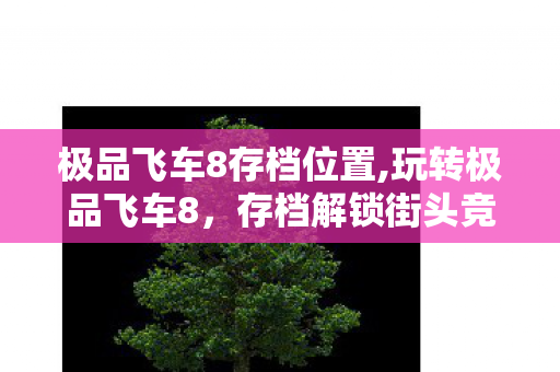 极品飞车8存档位置,玩转极品飞车8,存档解锁街头竞速的多元乐趣 极品飞车8存档位置,玩转极品飞车8,存档解锁街头竞速的多元乐趣
