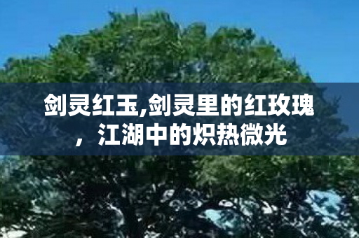 剑灵红玉,剑灵里的红玫瑰，江湖中的炽热微光