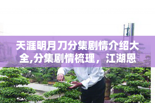 天涯明月刀分集剧情介绍大全,分集剧情梳理,江湖恩怨与侠义情仇的完整脉络 天涯明月刀分集剧情介绍大全,分集剧情梳理,江湖恩怨与侠义情仇的完整脉络