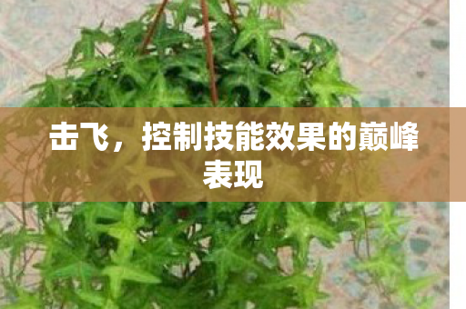 击飞，控制技能效果的巅峰表现