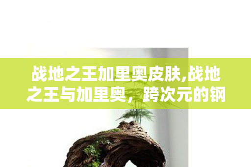 战地之王加里奥皮肤,战地之王与加里奥,跨次元的钢铁意志共鸣 战地之王加里奥皮肤,战地之王与加里奥,跨次元的钢铁意志共鸣