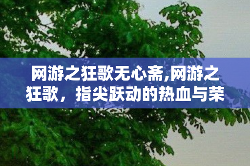 网游之狂歌无心斋,网游之狂歌,指尖跃动的热血与荣耀 网游之狂歌无心斋,网游之狂歌,指尖跃动的热血与荣耀