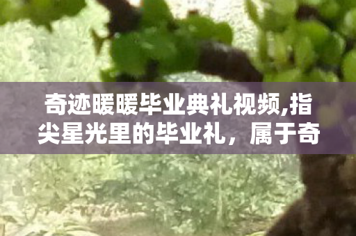 奇迹暖暖毕业典礼视频,指尖星光里的毕业礼,属于奇迹暖暖的专属成长仪式 奇迹暖暖毕业典礼视频,指尖星光里的毕业礼,属于奇迹暖暖的专属成长仪式