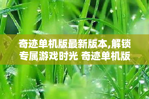 奇迹单机版最新版本,解锁专属游戏时光 奇迹单机版最新版带来沉浸式体验 奇迹单机版最新版本,解锁专属游戏时光 奇迹单机版最新版带来沉浸式体验