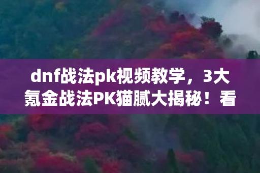 dnf战法pk视频教学,3大氪金战法PK猫腻大揭秘!看完直接上头到卸载 dnf战法pk视频教学,3大氪金战法PK猫腻大揭秘!看完直接上头到卸载